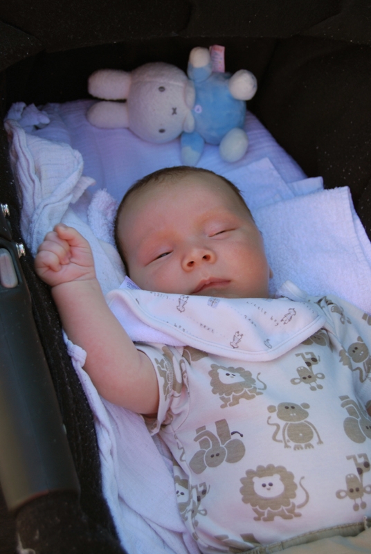 28  degrees in the shade.jpg